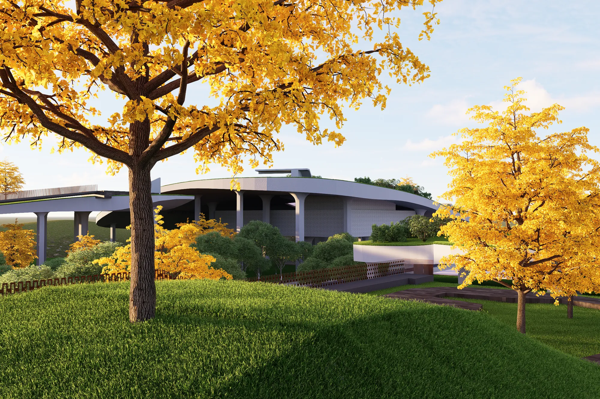 A curved roof among ginkgo trees in autumn